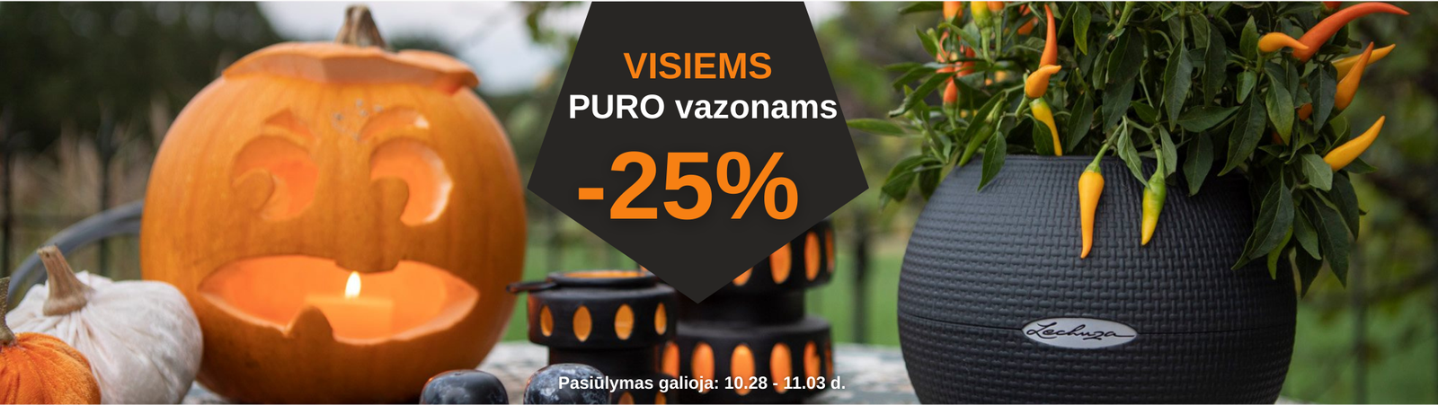 VISIEMS PRIPUČIAMEIMS BASEINAMS (1200 x 628 piks.) (2000 x 629 piks.) (2130 x 600 piks.)