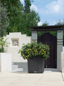 addi_cube_cottage_40_gra_lantana_large