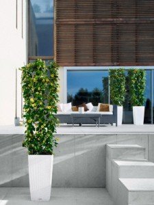 addi_cubico_cottage_30_w_thunbergia_large