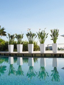 addi_cubico_cottage_40_5_w_strelitzia_large
