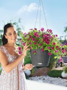 addi_nido_cottage_gra_petunia_large