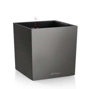 cube_anth_large