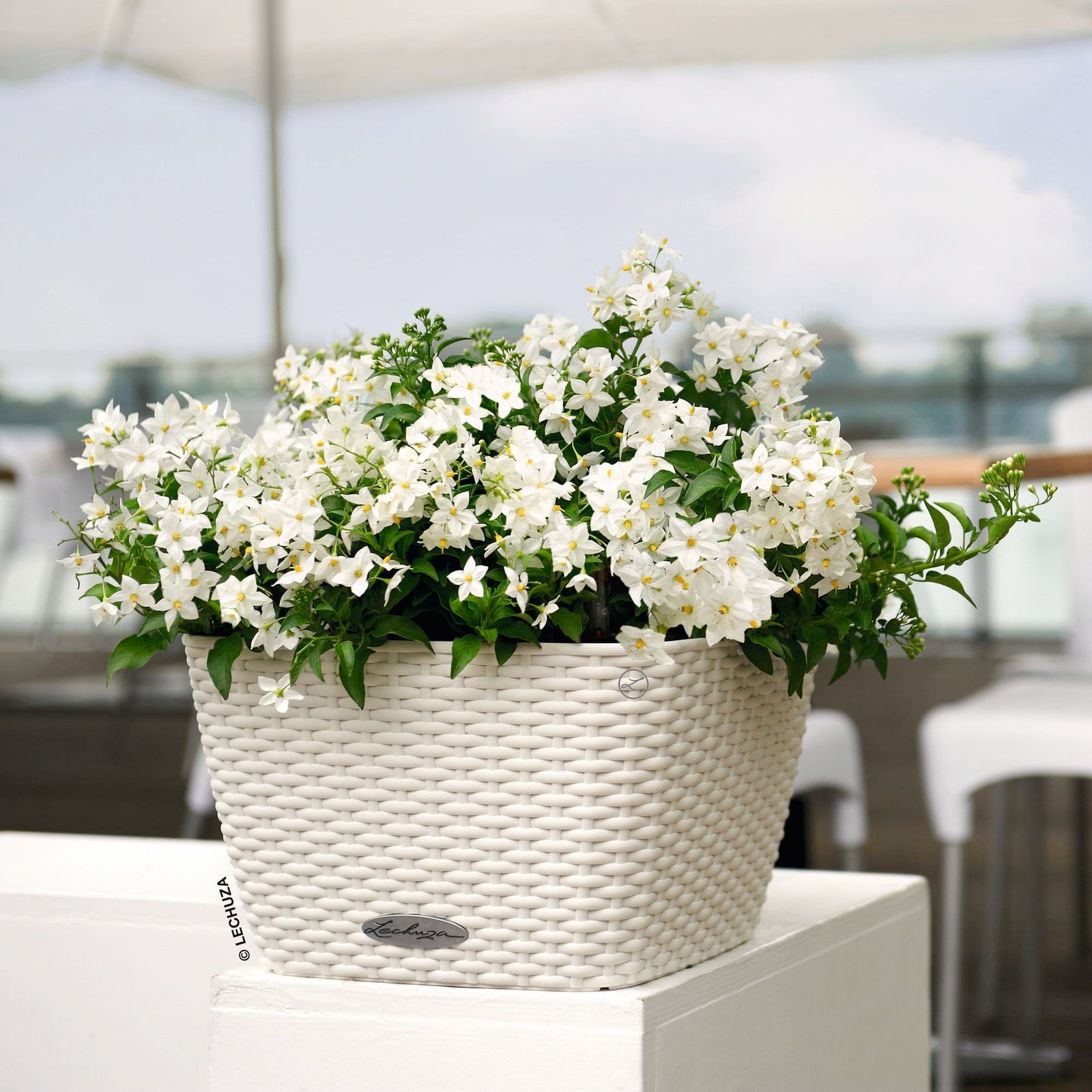 lechuza-bacino-cottage-planter-white-1649071-en