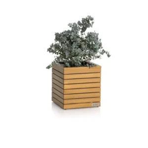 PALO Natural Wood 35 low Eukalyptusholz