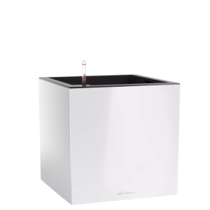 CANTO Premium žemas