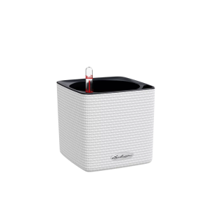 CUBE Color