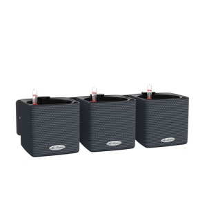 CUBE Color 14 rinkinys