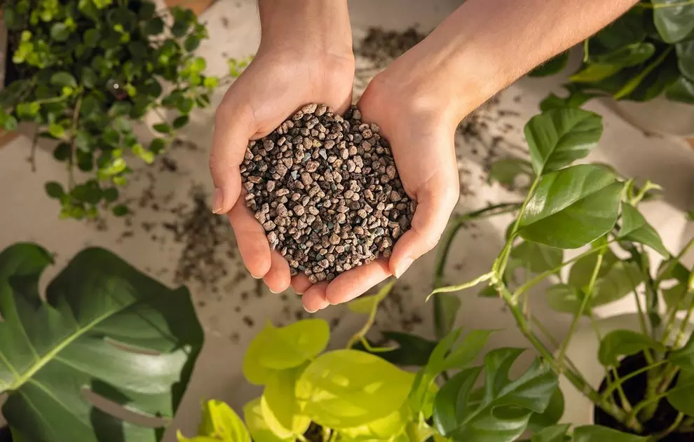 Augalinis substratas