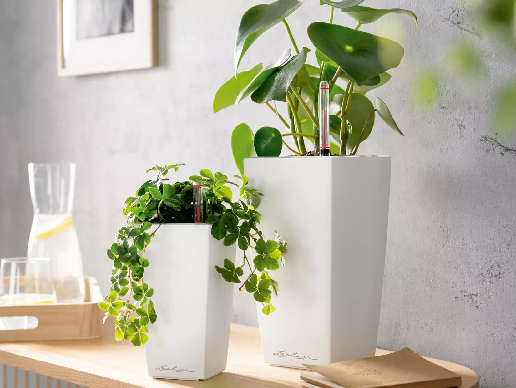 MINI CUBI ir MAXI CUBi