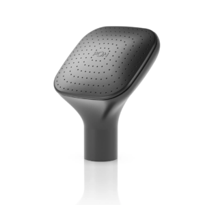 MOJA laistytuvo antgalis